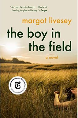 The Boy in the Field The Boy in the Field
