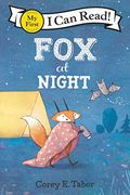 Fox At Night