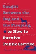 Caught Between The Dog And The Fireplug, Or How To Survive Public Service