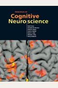 Principles Of Cognitive Neuroscience