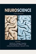 Neuroscience, Fifth Edition