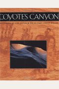 Coyote's Canyon