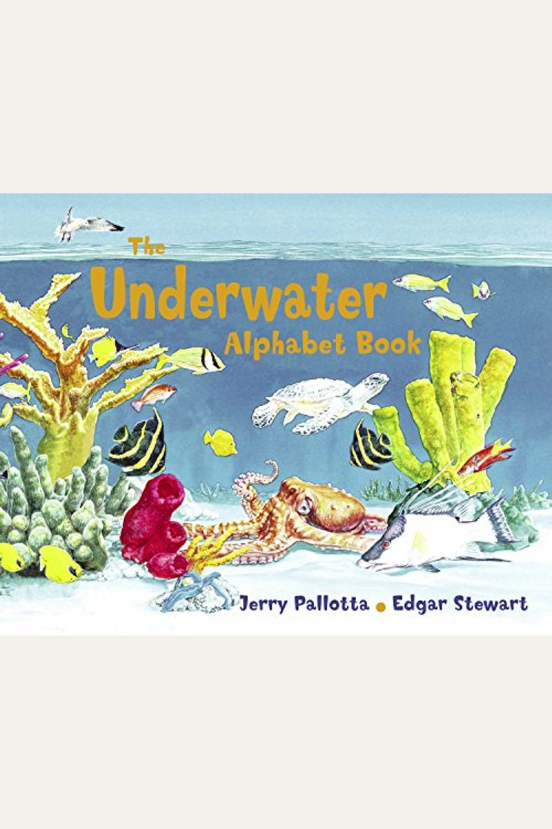 Underwater Alphabet Book