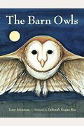 The Barn Owls