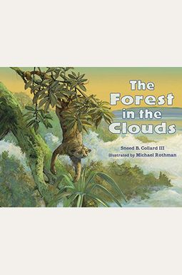 The Forest In The Clouds The Forest In The Clouds