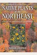 Native Plants Of The Northeast: A Guide For Gardening And Conservation