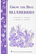 Grow the Best Blueberries