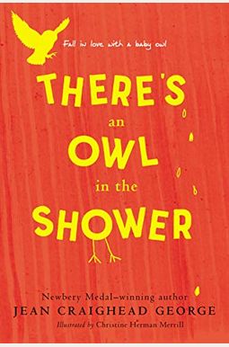 There's An Owl In The Shower There's An Owl In The Shower