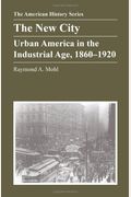 The New City: Urban America in the Industrial Age, 1860-1920 (American History Series)