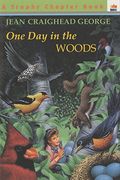 One Day In The Woods