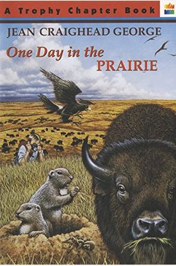 One Day In The Prairie One Day In The Prairie