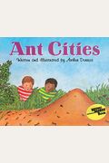 Ciudades De Hormigas: Ant Cities