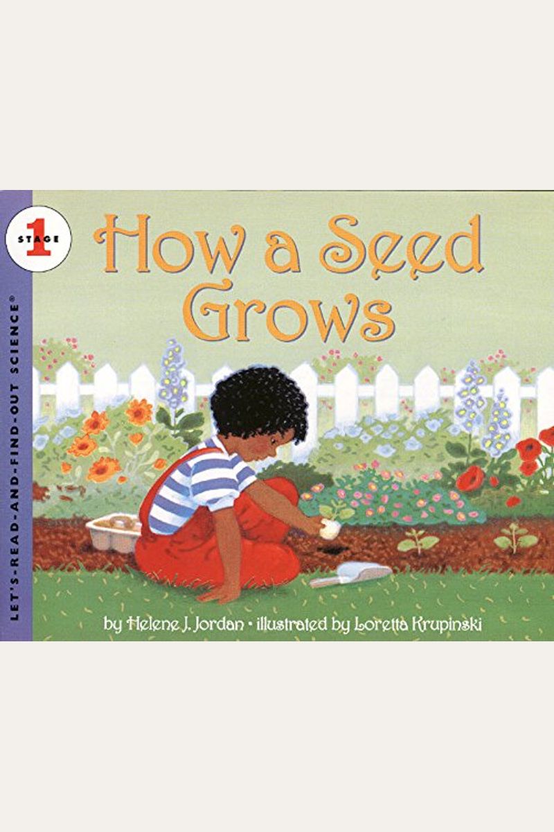 How A Seed Grows