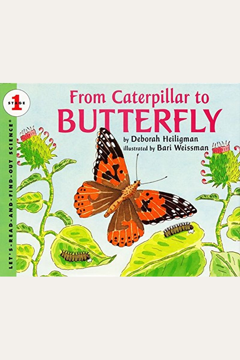 From Caterpillar To Butterfly
