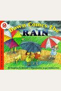 Down Comes The Rain