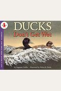 Ducks Don't Get Wet