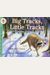 Big Tracks, Little Tracks: Following Animal Prints