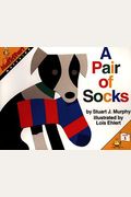 A Pair Of Socks: Matching (Mathstart: Level 1 (Harpercollins Paperback))