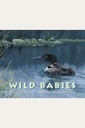 Wild Babies