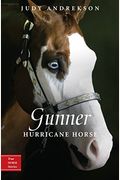 Gunner: Hurricane Horse