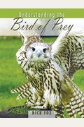 Understanding The Bird Of Prey