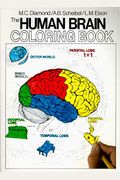 The Human Brain Coloring Book