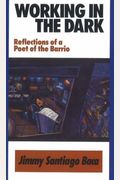 Working In The Dark: Reflections Of A Poet Of The Barrio