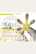 Made In Heaven: Man's Indiscriminate Stealing Of God's Amazing Design
