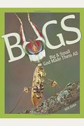 Bugs Big & Small: God Made Them All