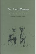 The Deer Pasture