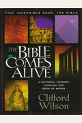 Bible Comes Alive: