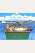 Andre The Famous Harbor Seal