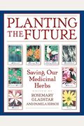 Planting The Future: Saving Our Medicinal Herbs