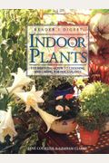Indoor Plants: The Essential Guide To Choosing And Caring For Houseplants