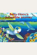 Baby Honu's Incredible Journey