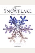 The Snowflake: Winter's Secret Beauty
