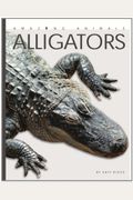 Amazing Animals: Alligators