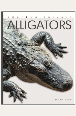 Amazing Animals: Alligators