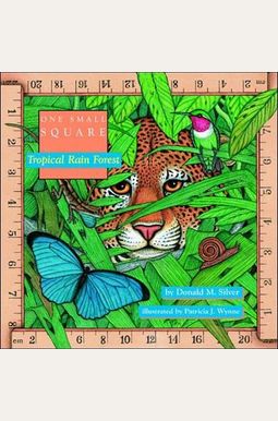 Tropical Rain Forest Tropical Rain Forest