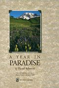 A Year In Paradise
