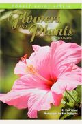 Flowers And Plants Of Hawaii: Pocket Guide Se