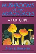 Mushrooms Of The Adirondacks: A Field Guide