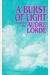A Burst Of Light: Essays
