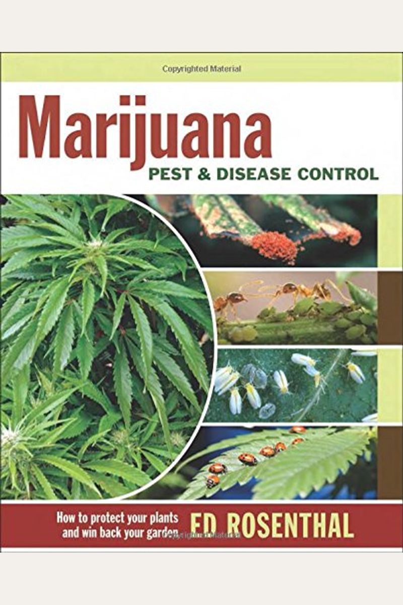 Buy Marijuana Pest and Disease Control How to Protect Your Plants and