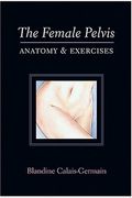 Female Pelvis: Anatomy And Exercises