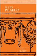 Plato : Phaedo (Focus Philosophical Library)