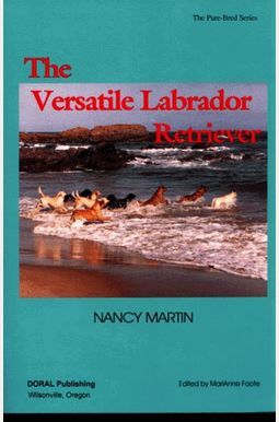 Versatile Labrador Retriever Versatile Labrador Retriever