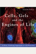 Cells, Gels And The Engines Of Life: A New, Unifying Approach To Cell Function