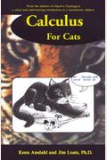 Calculus For Cats