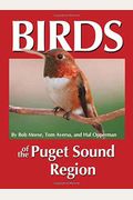 Birds Of The Puget Sound Region